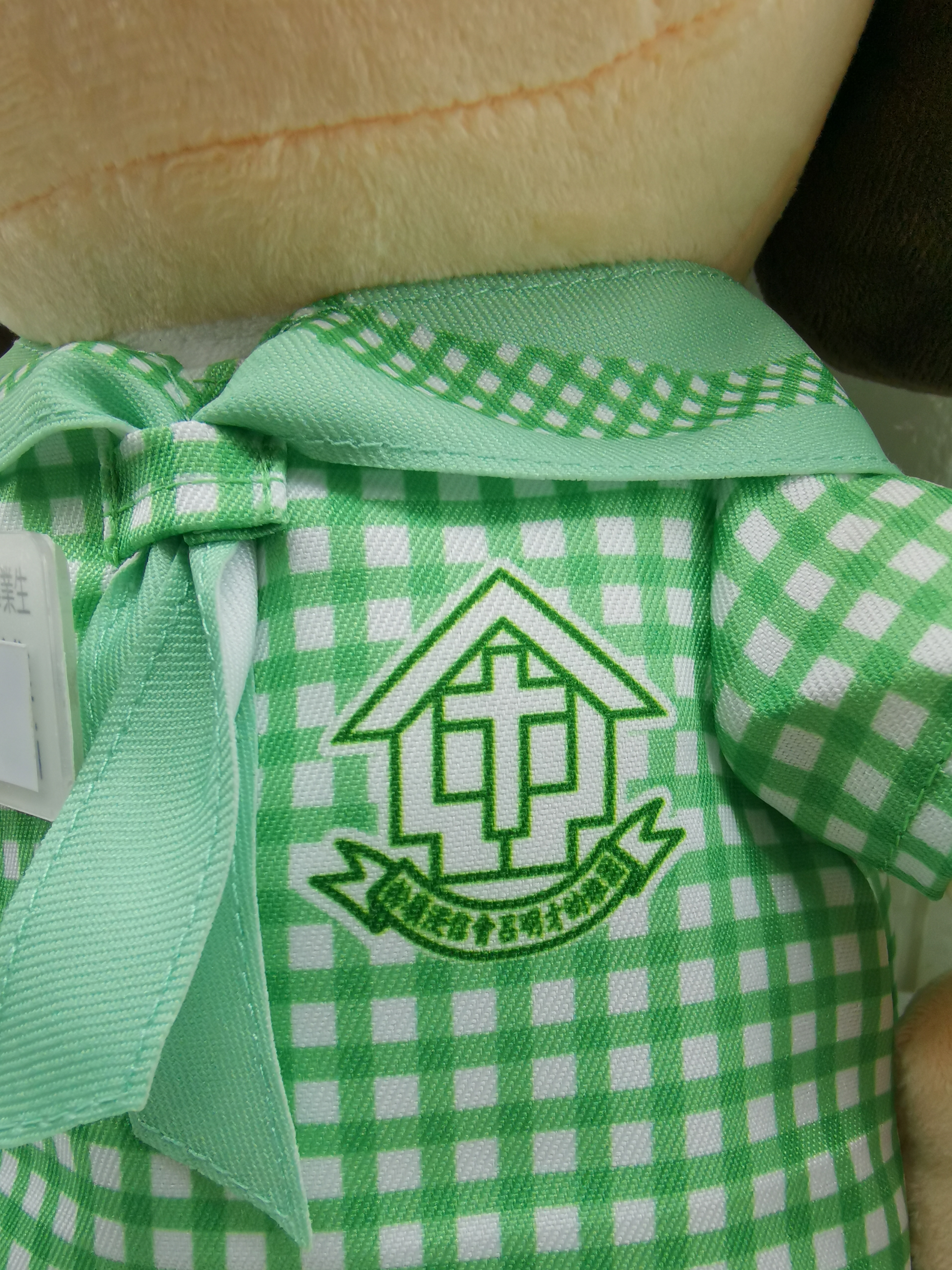 粉嶺浸信會呂明才幼稚園 產品照片（12/24）