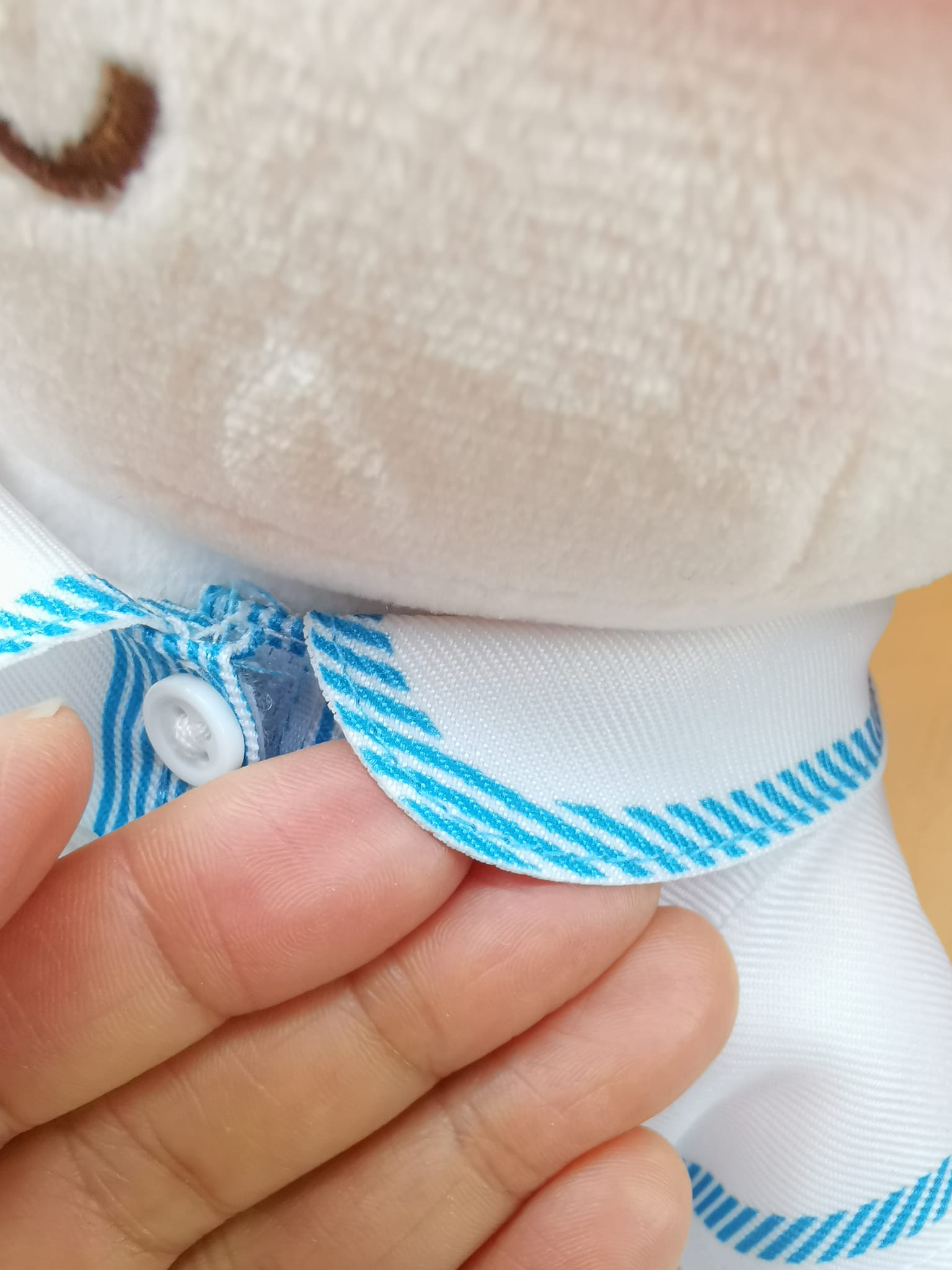 青衣商會將軍澳幼稚園 產品照片（10/24）