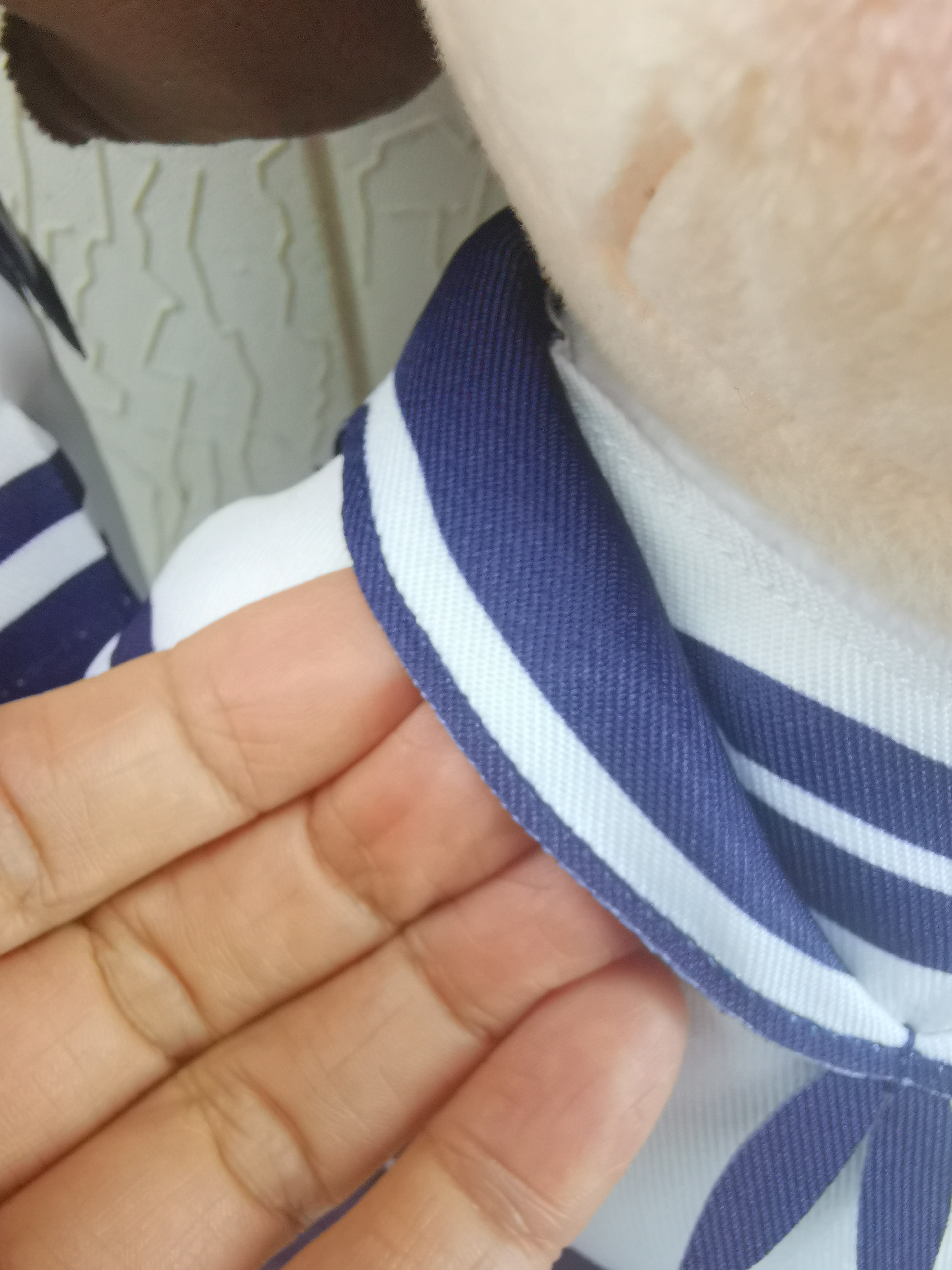 約克英文小學暨幼稚園(九龍塘) 產品照片（18/39）